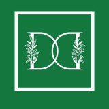 D n D Logo